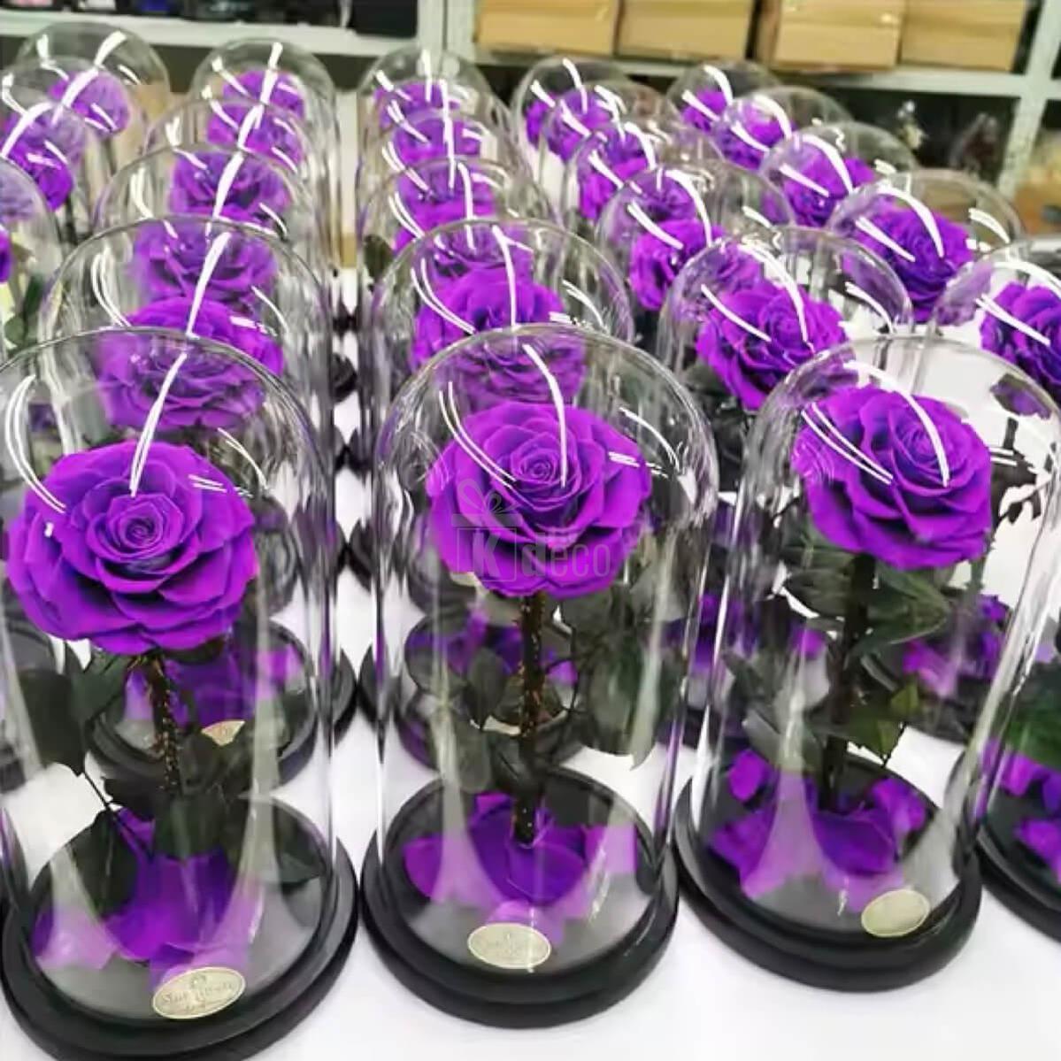 Trandafir Criogenat Mov Bonita în Cupolă de Sticlă Ø9,5cm - Cadou Unic - Kdeco.ro