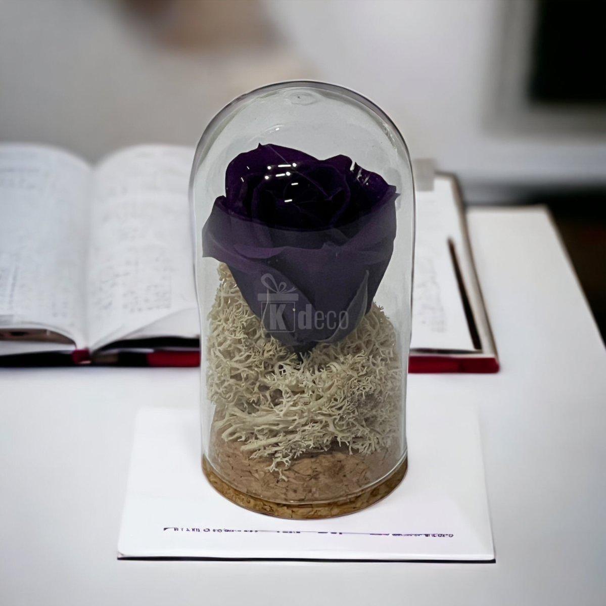 Trandafir Criogenat mov inchis in cupola mica 5x9,5cm (marturie)-Kdeco.ro