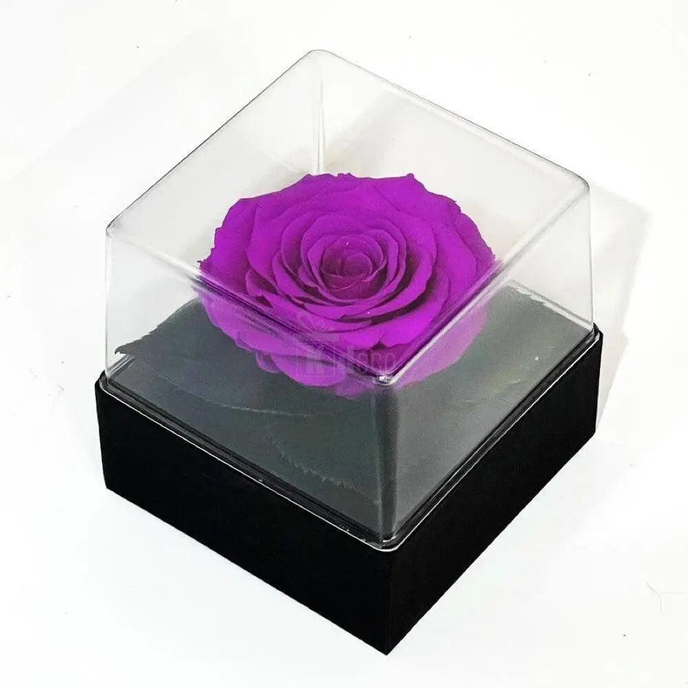 Trandafir Criogenat mov Ø7-8cm in cutie cadou 10x10x11cm - Kdeco