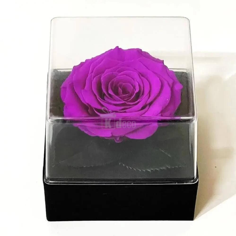 Trandafir Criogenat Mov Ø7 - 8cm în Cutie Elegantă pentru Cadou 10x10x11cm - Kdeco.ro