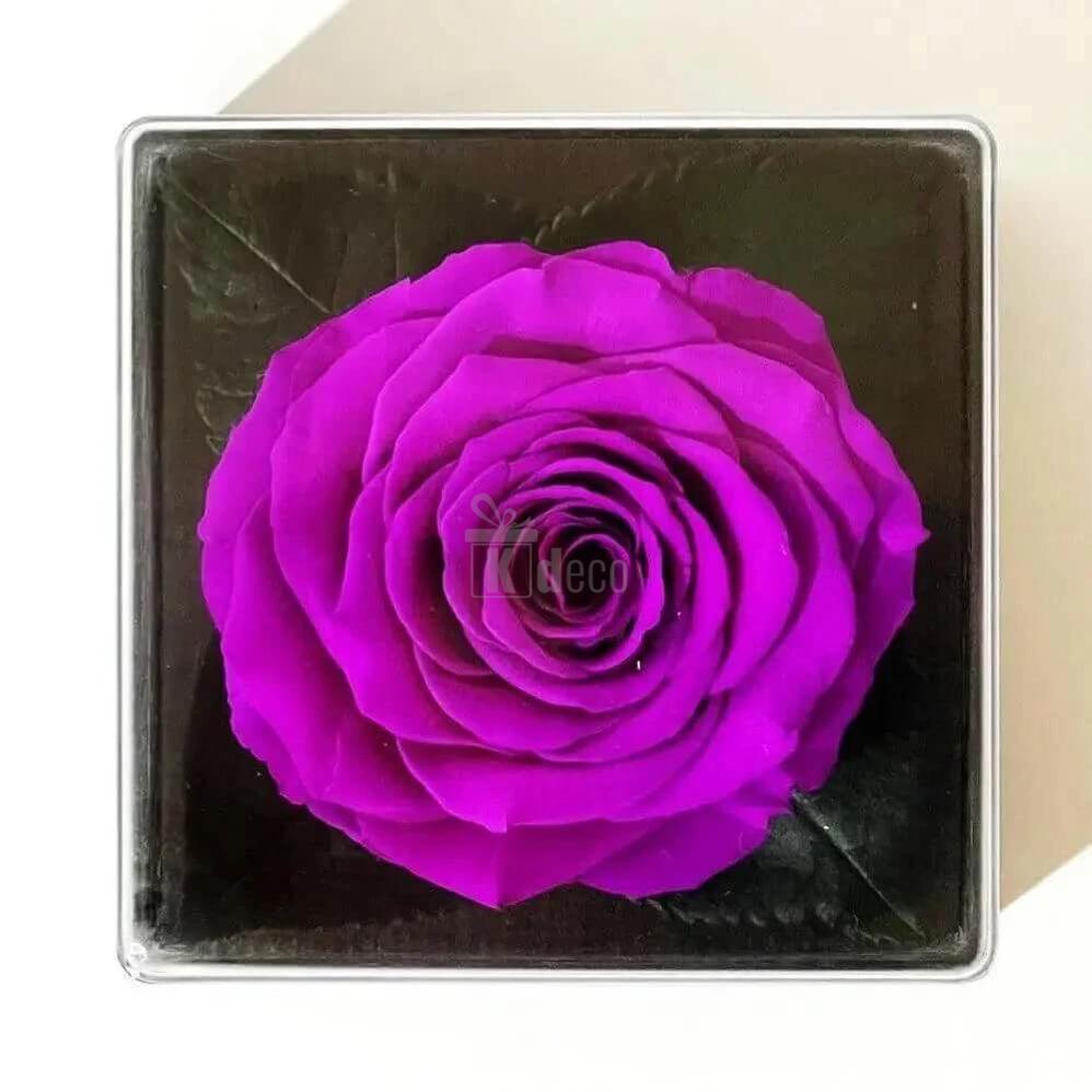 Trandafir Criogenat Mov Ø7 - 8cm în Cutie Elegantă pentru Cadou 10x10x11cm - Kdeco.ro