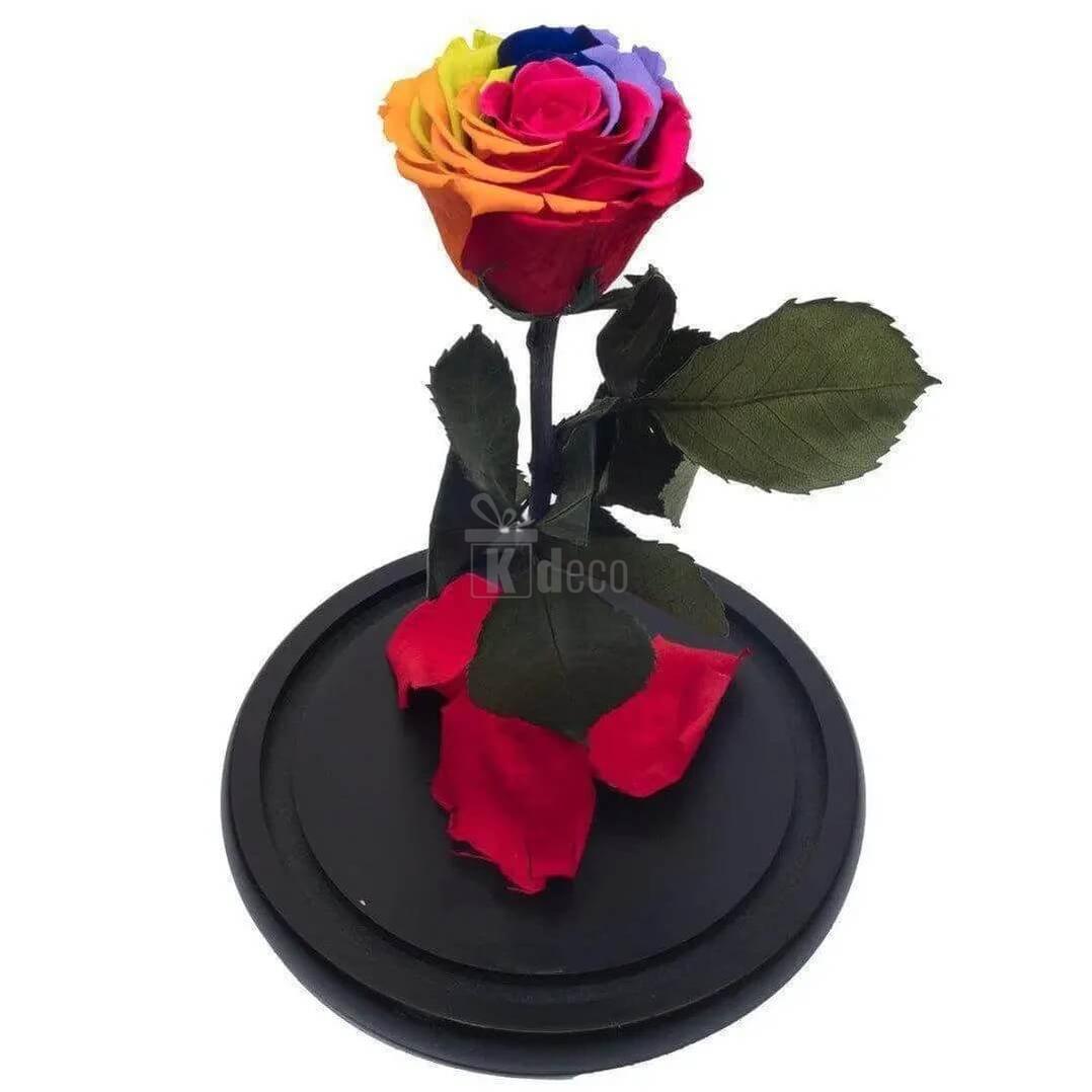 Trandafir Criogenat Multicolor XL în Cupolă de Sticlă Ø6,5cm - Cadoul Ideal pentru Persoana Dragă - Kdeco.ro