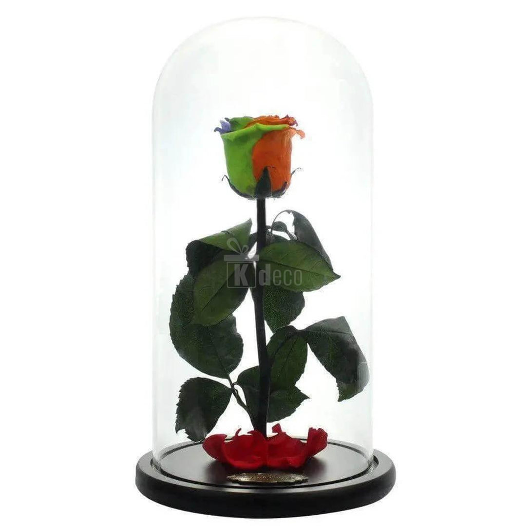 Trandafir Criogenat Multicolor XL în Cupolă de Sticlă Ø6,5cm - Cadoul Ideal pentru Persoana Dragă - Kdeco.ro