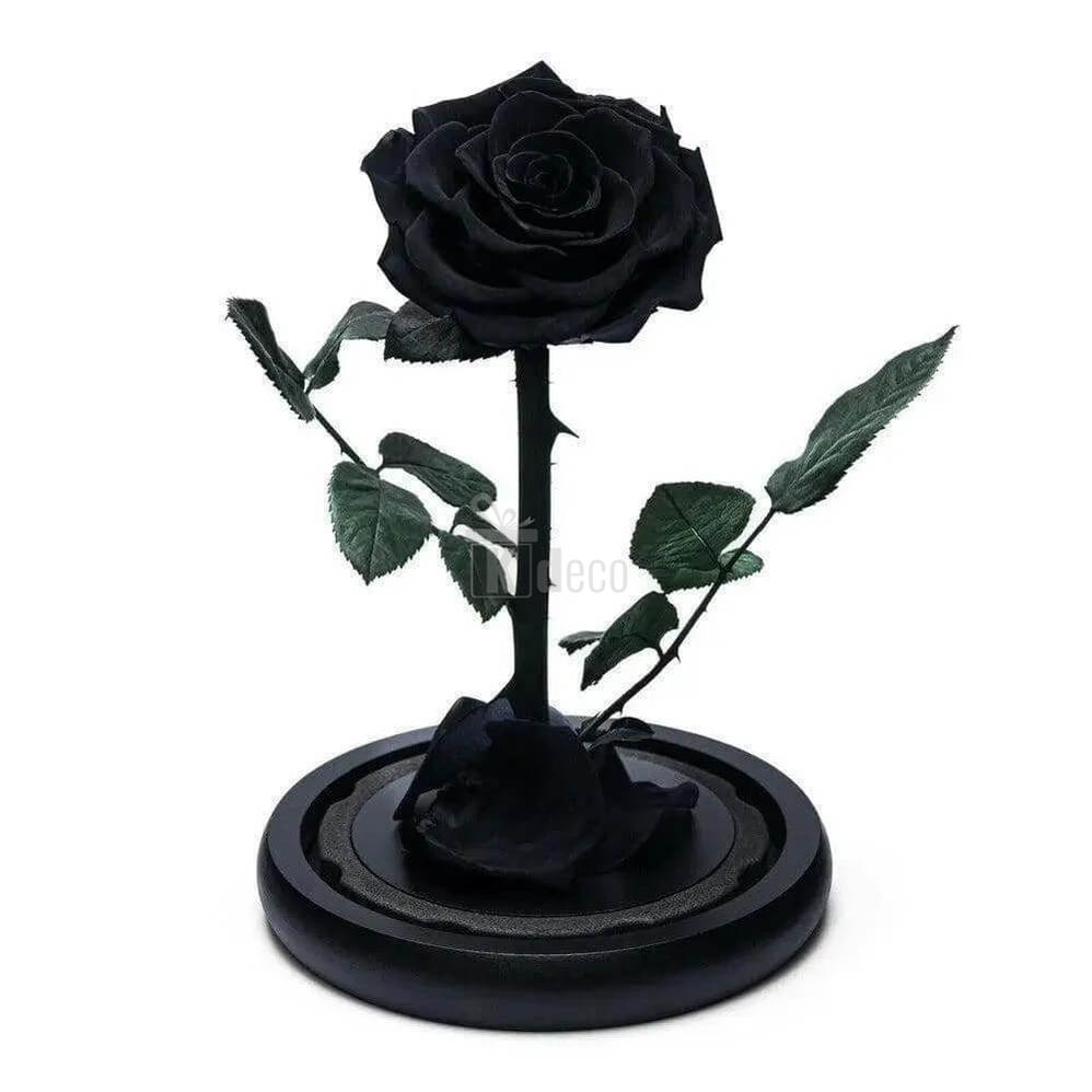 Trandafir Criogenat Negru Premium în Cupolă de Sticlă Ø8cm - Cadou Unic și Elegant 12x25cm - Kdeco.ro