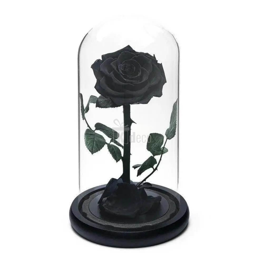 Trandafir Criogenat Negru Premium în Cupolă de Sticlă Ø8cm - Cadou Unic și Elegant 12x25cm - Kdeco.ro