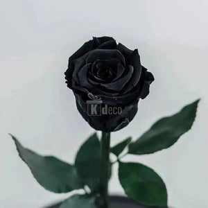 Trandafir Criogenat negru XL Ø6,5cm in cupola 10x20cm - Kdeco