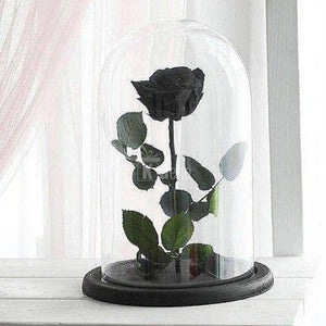 Trandafir Criogenat negru XL Ø6,5cm in cupola 10x20cm - Kdeco