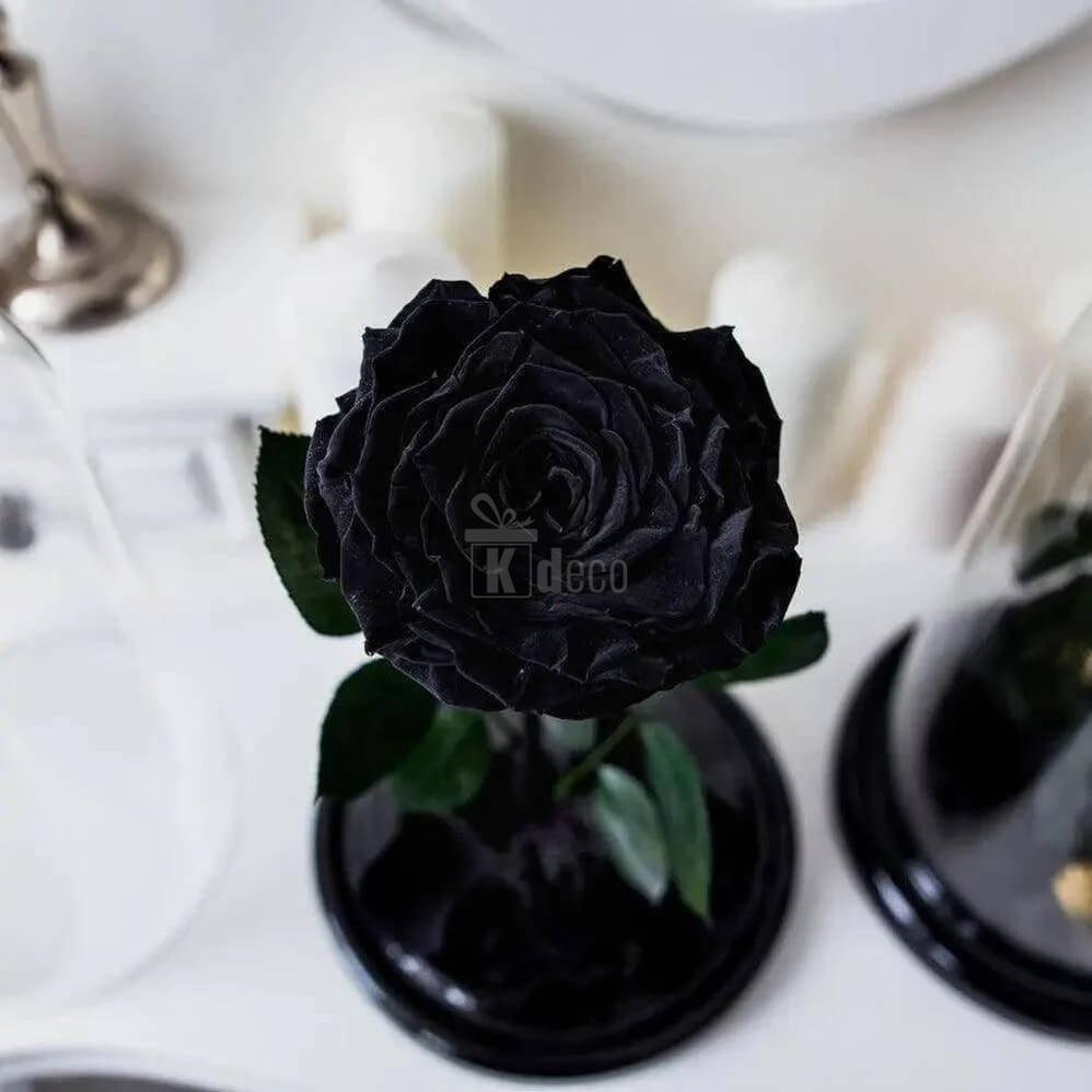 Trandafir Criogenat Negru XXL în Cupolă de Sticlă cu Mesaj Personalizat 12x25cm - Kdeco.ro