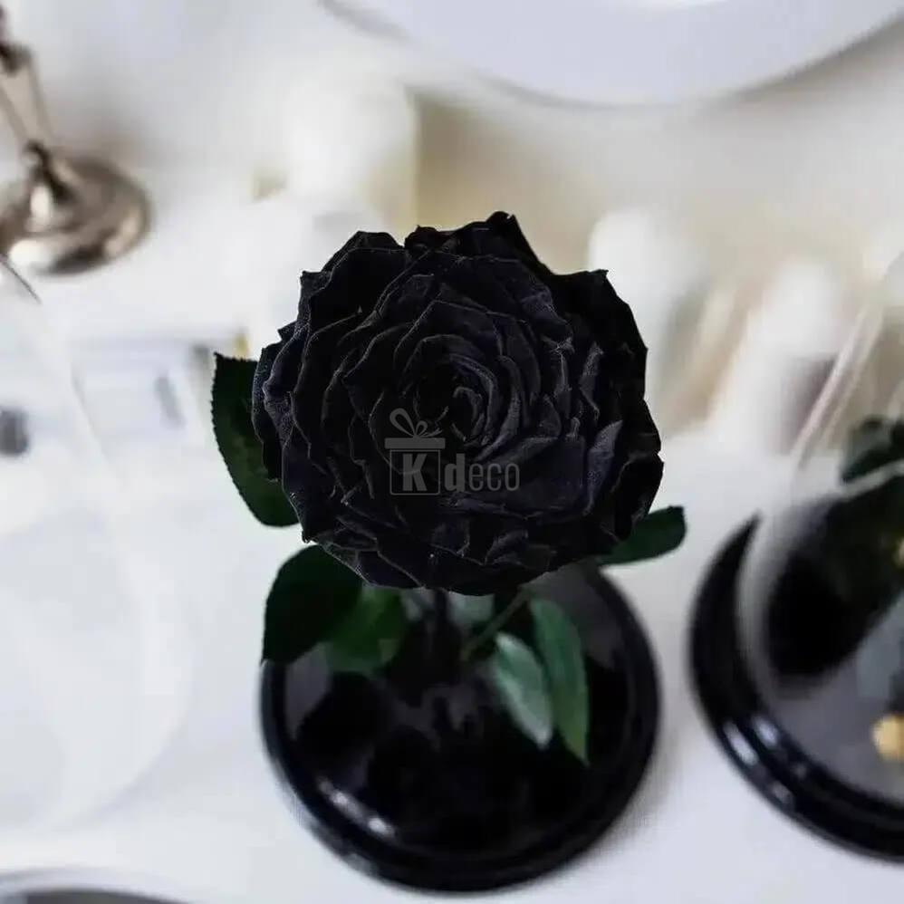 Trandafir Criogenat Negru XXL în Cupolă de Sticlă Ø9,5cm - Cadou Unic pentru Orice Ocazie - Kdeco.ro