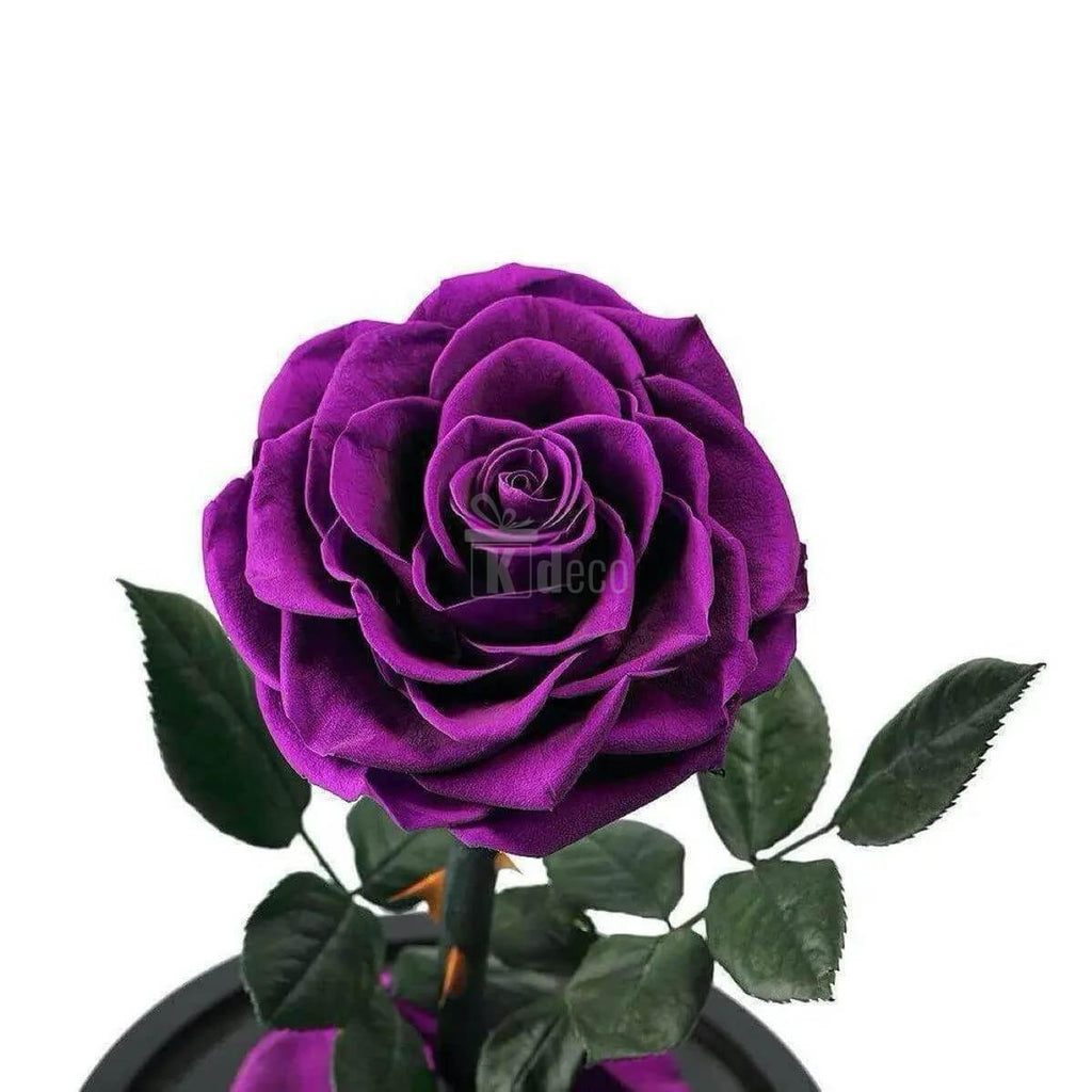 Trandafir Criogenat Nemuritor Bonita Mov în Cupola de Sticlă Ø9,5cm, Dimensiuni 15x25cm - Kdeco.ro