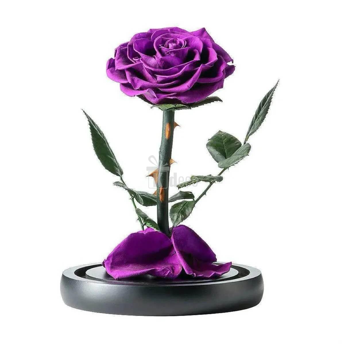 Trandafir Criogenat Nemuritor Bonita Mov în Cupola de Sticlă Ø9,5cm, Dimensiuni 15x25cm - Kdeco.ro