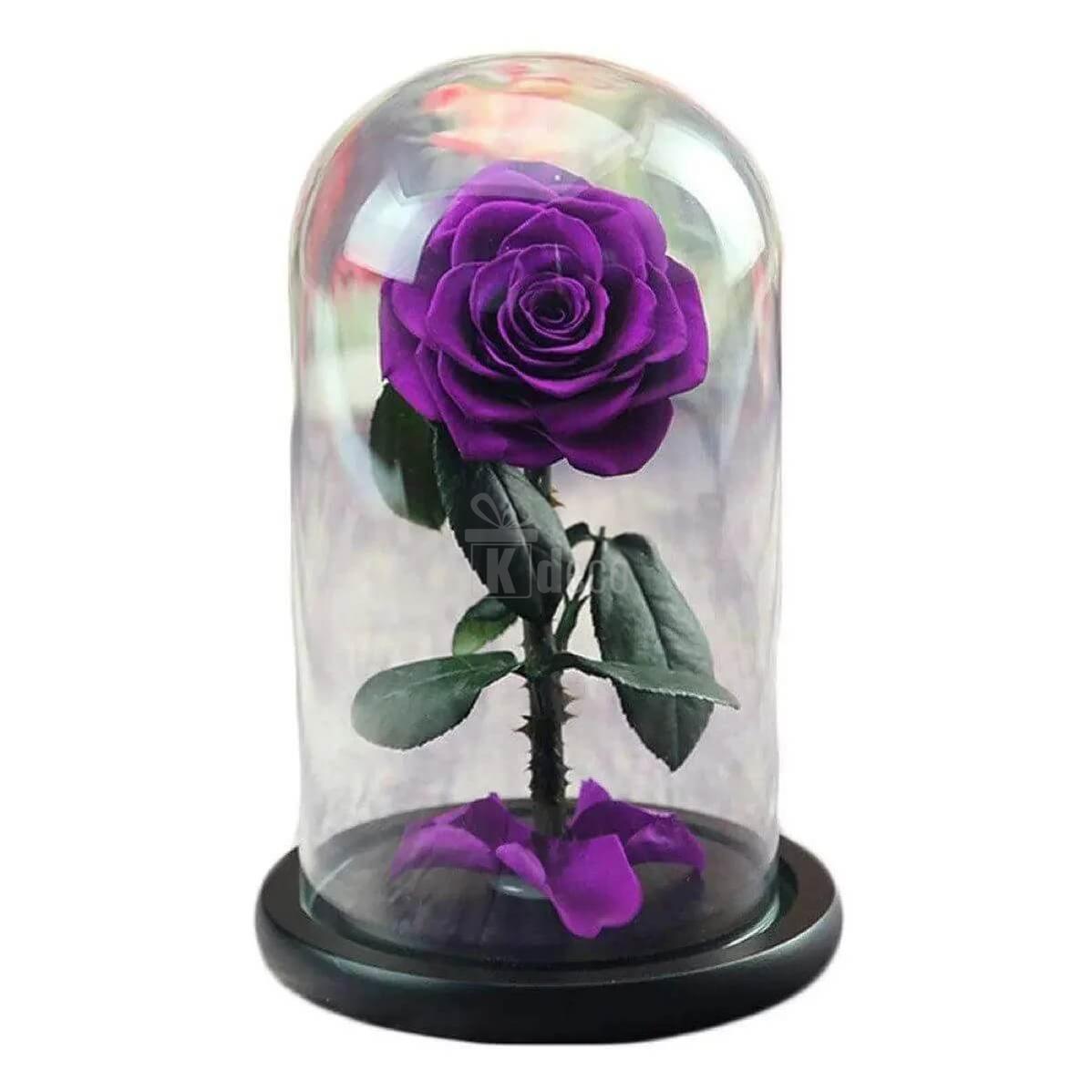 Trandafir Criogenat Nemuritor Bonita Mov în Cupola de Sticlă Ø9,5cm, Dimensiuni 15x25cm - Kdeco.ro