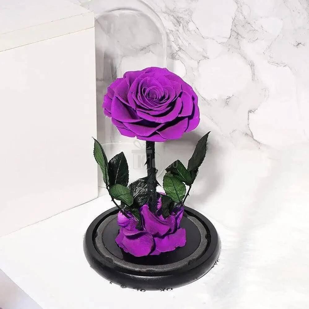 Trandafir Criogenat Nemuritor Bonita Purpuriu în Cupolă Elegantă 12x25cm cu Mesaj Personalizat - Kdeco.ro