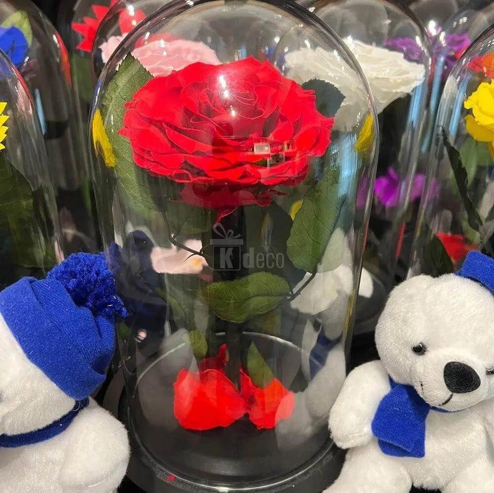 Trandafir Criogenat Nemuritor Bonita roșu în Cupolă Elegantă 15x25cm - Kdeco.ro