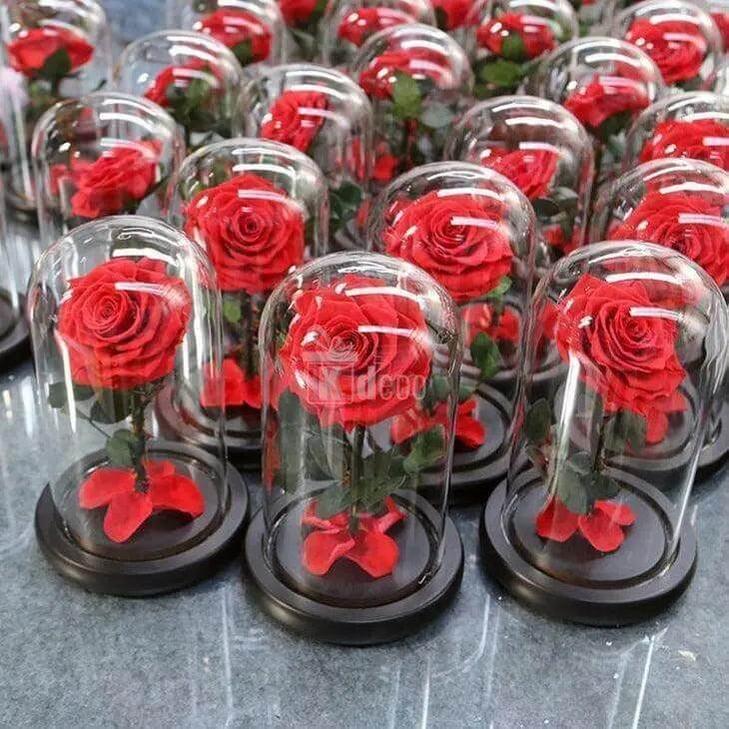 Trandafir Criogenat Nemuritor Bonita roșu în Cupolă Elegantă 15x25cm - Kdeco.ro