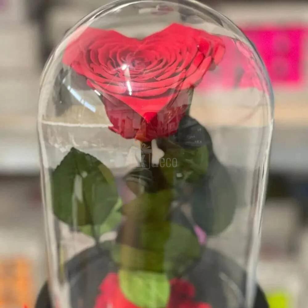 Trandafir Criogenat Nemuritor în formă de inimă Ø9cm cu cupolă elegantă 15x25cm - Kdeco.ro