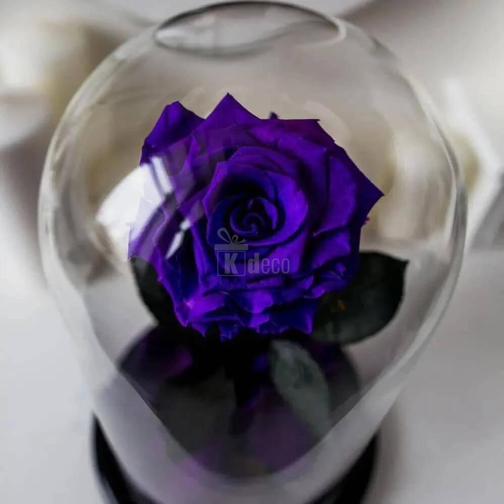 Trandafir Criogenat Nemuritor purpuriu în cupolă de sticlă XL Ø6,5cm - Kdeco.ro