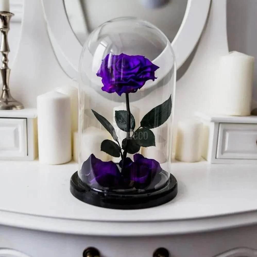 Trandafir Criogenat Nemuritor purpuriu în cupolă de sticlă XL Ø6,5cm - Kdeco.ro