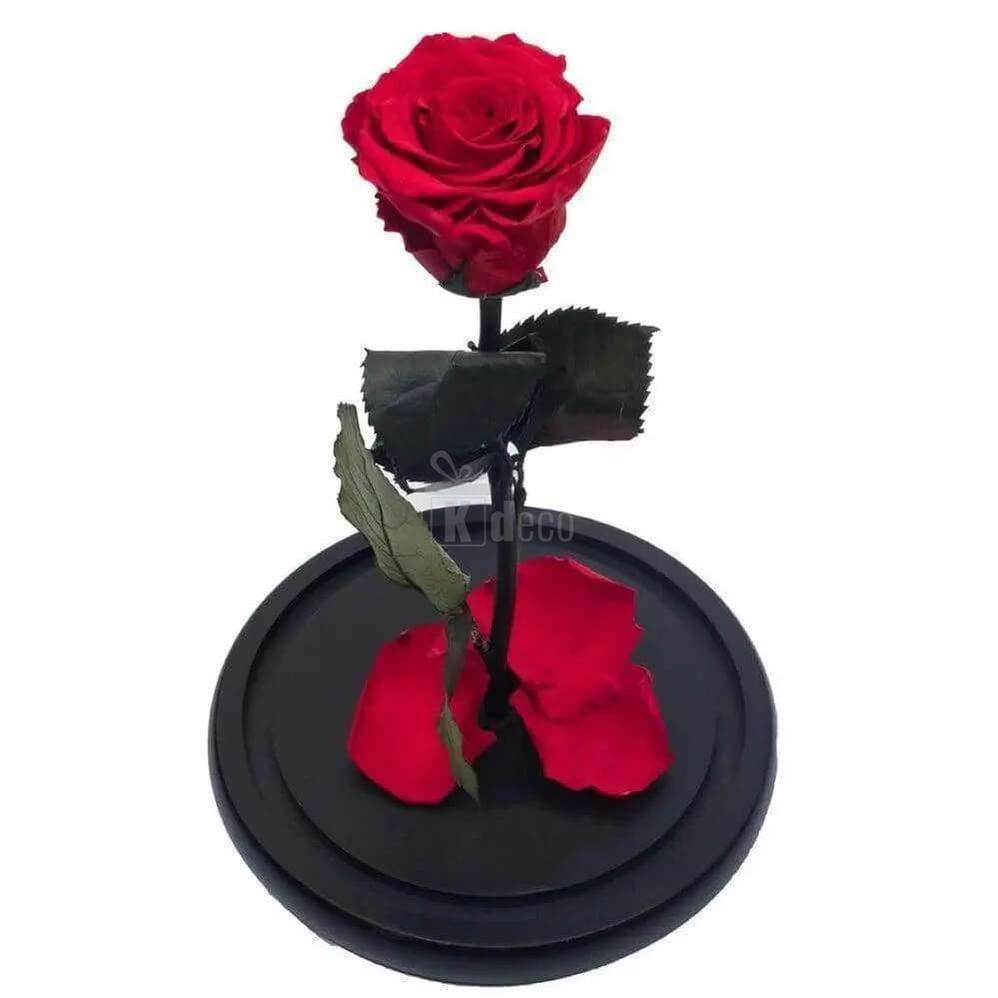 Trandafir Criogenat Nemuritor Roșu XL în Cupolă de Sticlă cu Mesaj Personalizat 12x25cm - Kdeco.ro