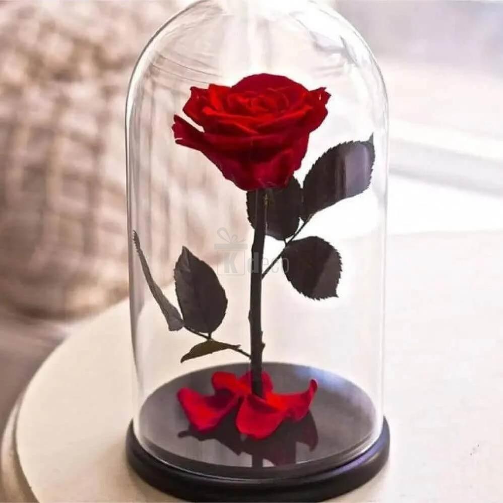 Trandafir Criogenat Nemuritor roșu XL în cupolă de sticlă elegantă 10x20cm - Kdeco.ro