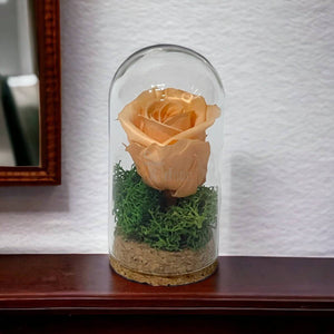 Trandafir Criogenat piersica in cupola mica 5x9,5cm (marturie)-Kdeco.ro