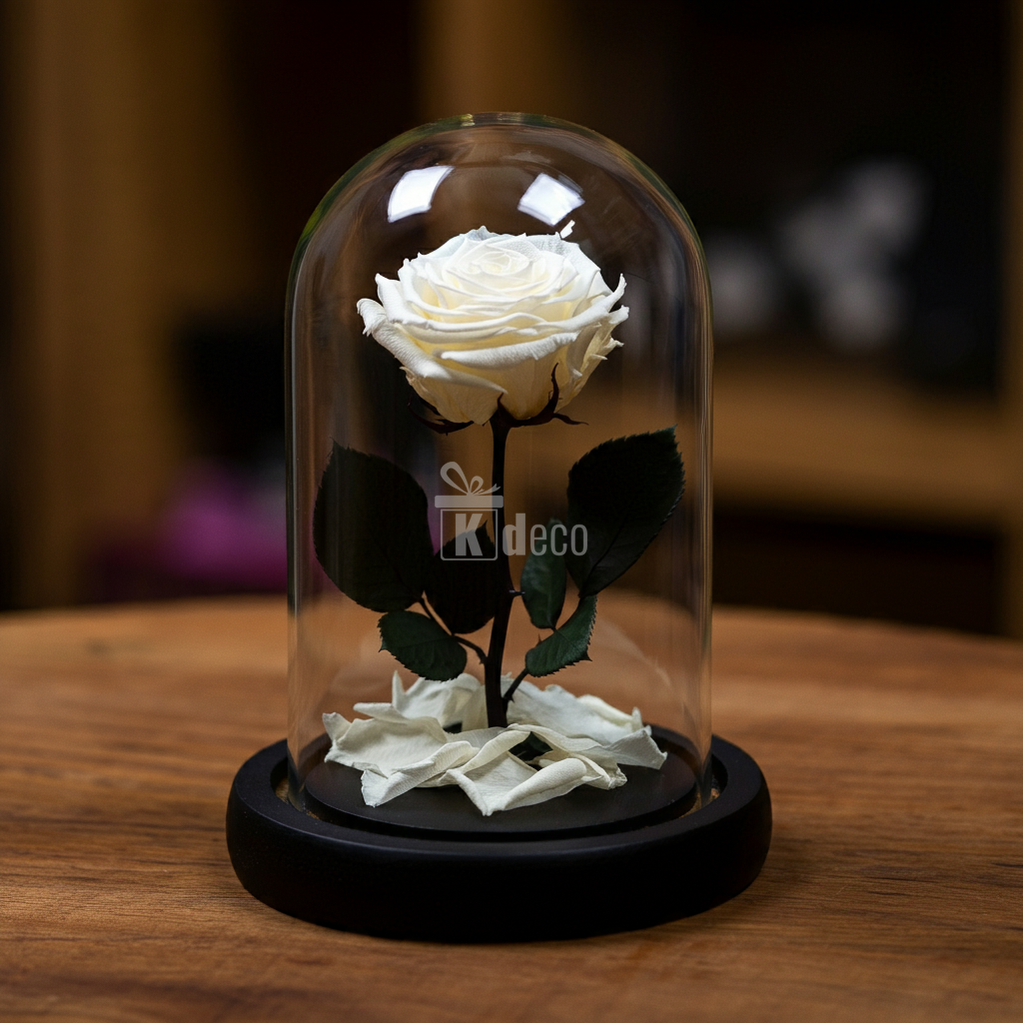 Trandafir Criogenat Premium Crem Deschis sub cupolă elegantă de sticlă, ideal ca decor nemuritor sau cadou special pentru femei.