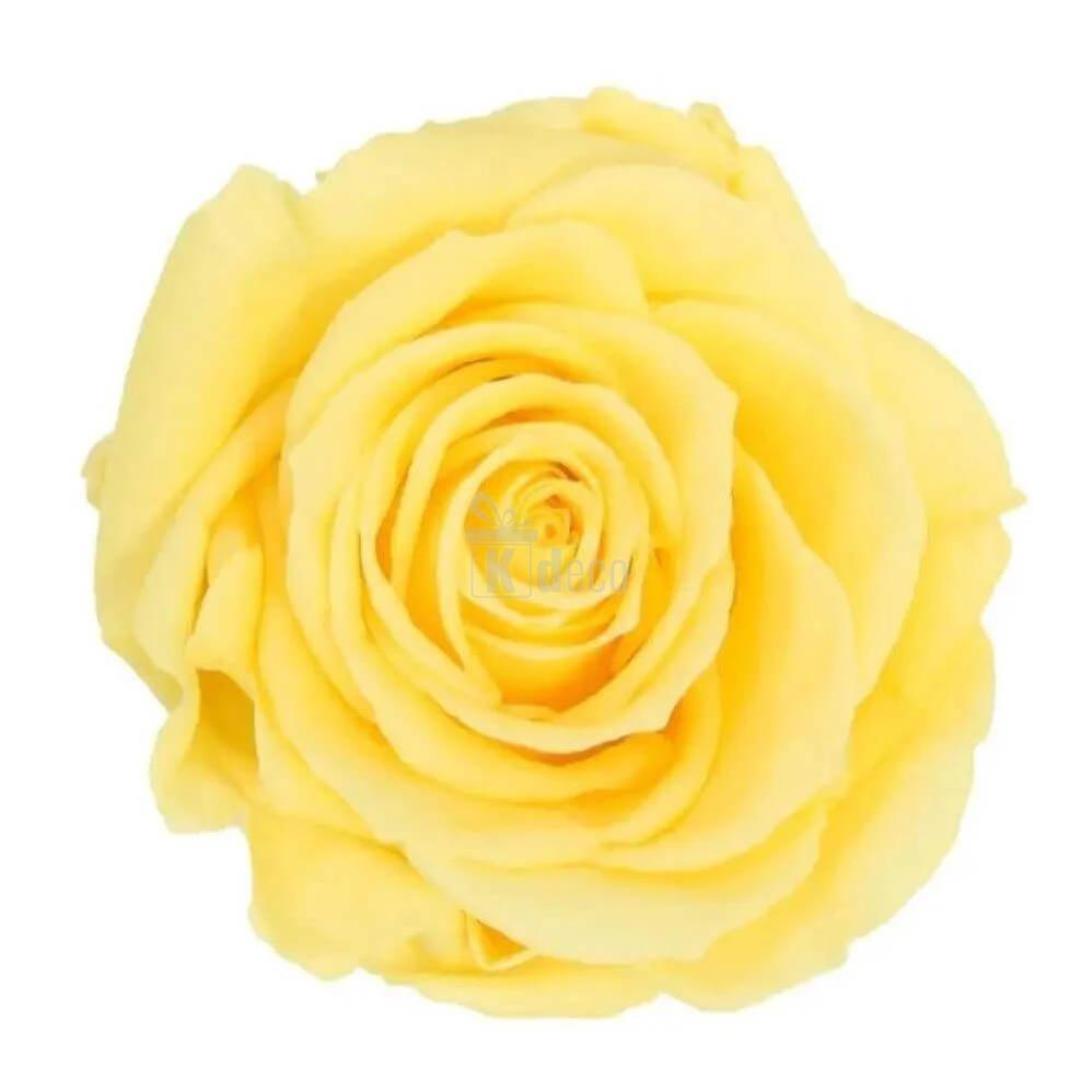 Trandafir Criogenat Premium Galben Ø8cm în Cupolă Elegantă 12x25cm - Kdeco.ro