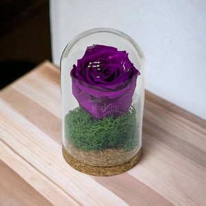 Trandafir Criogenat purpuriu in cupola de sticla 7x12cm (marturie)-Kdeco.ro