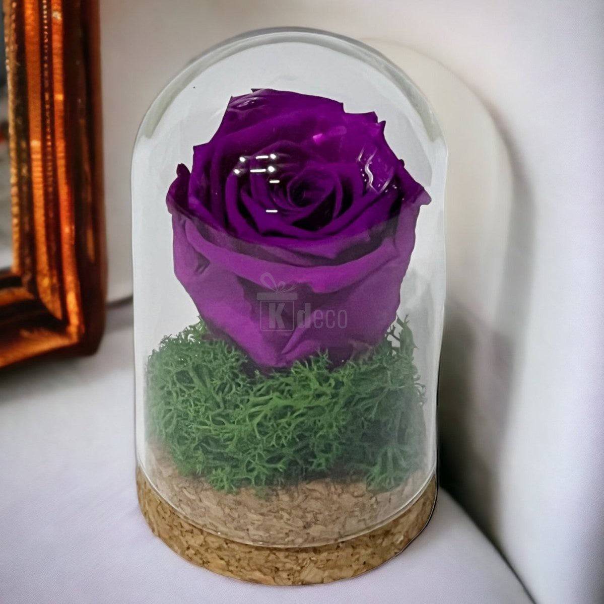 Trandafir Criogenat purpuriu in cupola de sticla 7x12cm (marturie)-Kdeco.ro