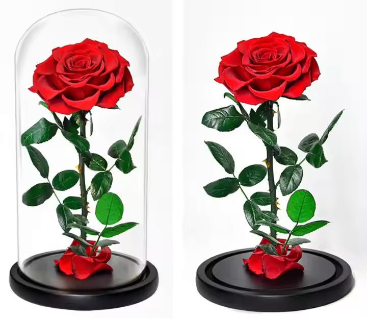 Trandafir Criogenat Bonita Roșu prezentat cu și fără cupolă de sticlă, ideal pentru cadouri speciale și decor romantic de durată