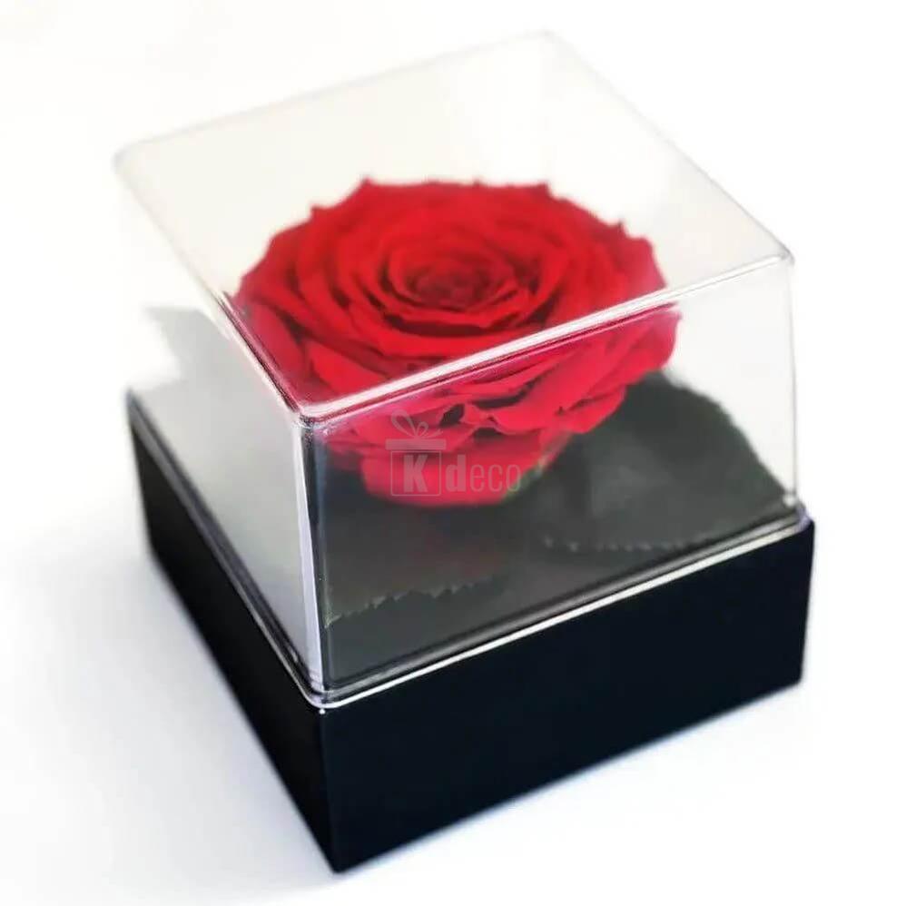 Trandafir Criogenat Red Velvet Ø7 - 8cm în cutie elegantă 10x10x11cm - Kdeco.ro
