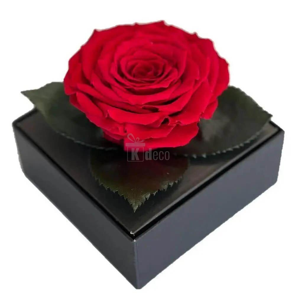 Trandafir Criogenat Red Velvet Ø7 - 8cm în cutie elegantă 10x10x11cm - Kdeco.ro