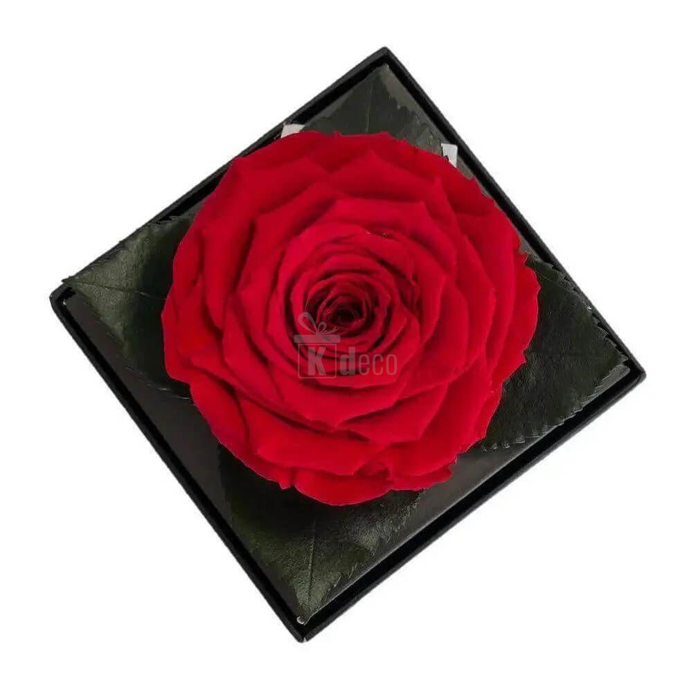 Trandafir Criogenat Red Velvet Ø7 - 8cm în cutie elegantă 10x10x11cm - Kdeco.ro