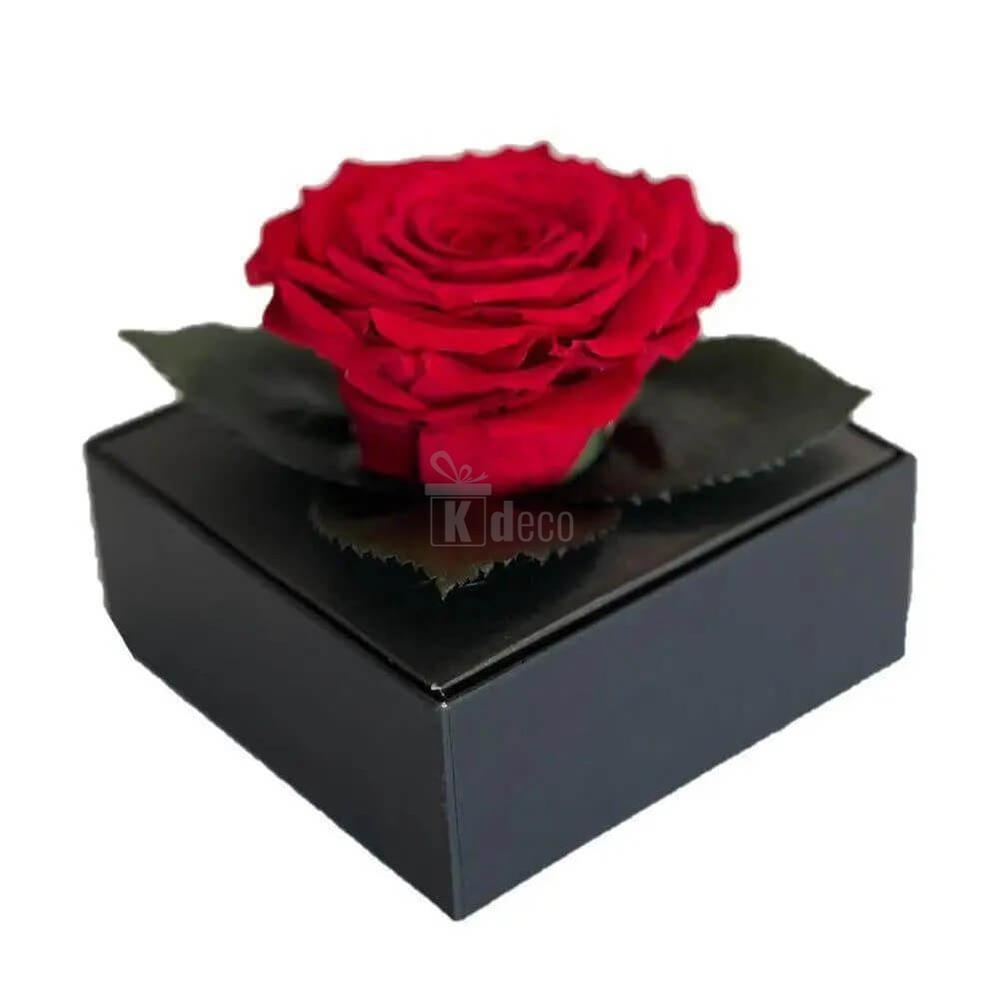 Trandafir Criogenat Red Velvet Ø7 - 8cm în cutie elegantă 10x10x11cm - Kdeco.ro