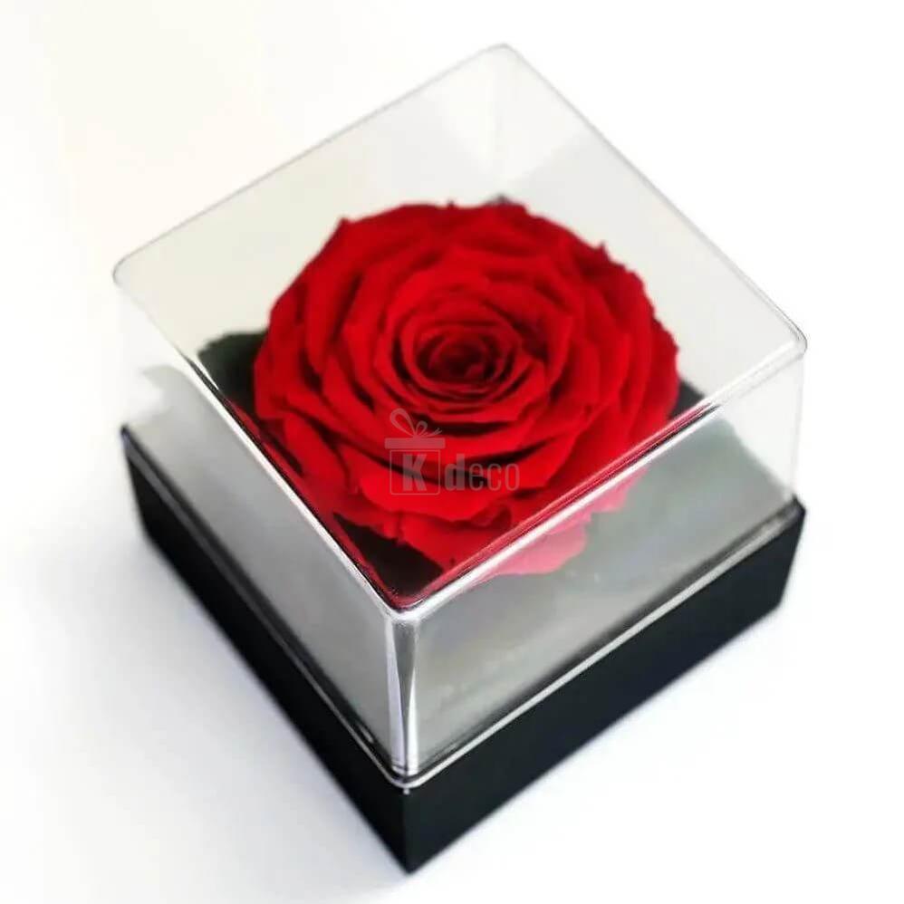 Trandafir Criogenat Red Velvet Ø7 - 8cm în cutie elegantă 10x10x11cm - Kdeco.ro