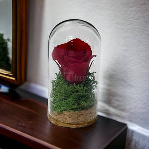 Trandafir Criogenat rosu in cupola mica 5x9,5cm (marturie)-Kdeco.ro