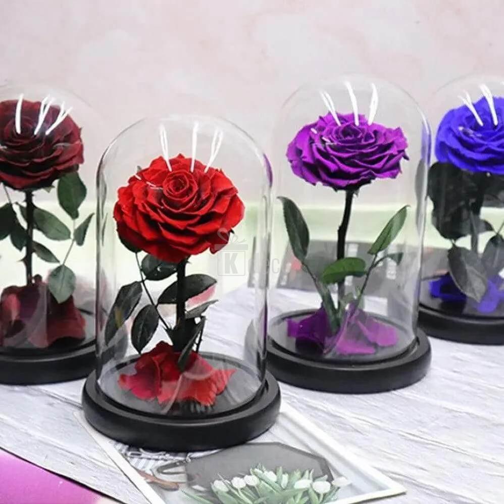 Trandafir Criogenat Roșu Mare în Cupolă Elegantă 15x25cm - Cadoul Ideal pentru Iubita ta! - Kdeco.ro