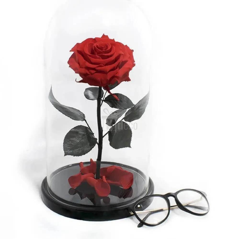 Trandafir Criogenat Roșu Nemuritor Bonita în Cupolă de Sticlă Ø9,5cm, Cadou Special 15x25cm - Kdeco.ro