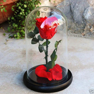 Trandafir Criogenat rosu XL Ø6,5cm in cupola de sticla - Kdeco