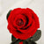 Trandafir Criogenat rosu XL Ø6,5cm in cupola de sticla - Kdeco