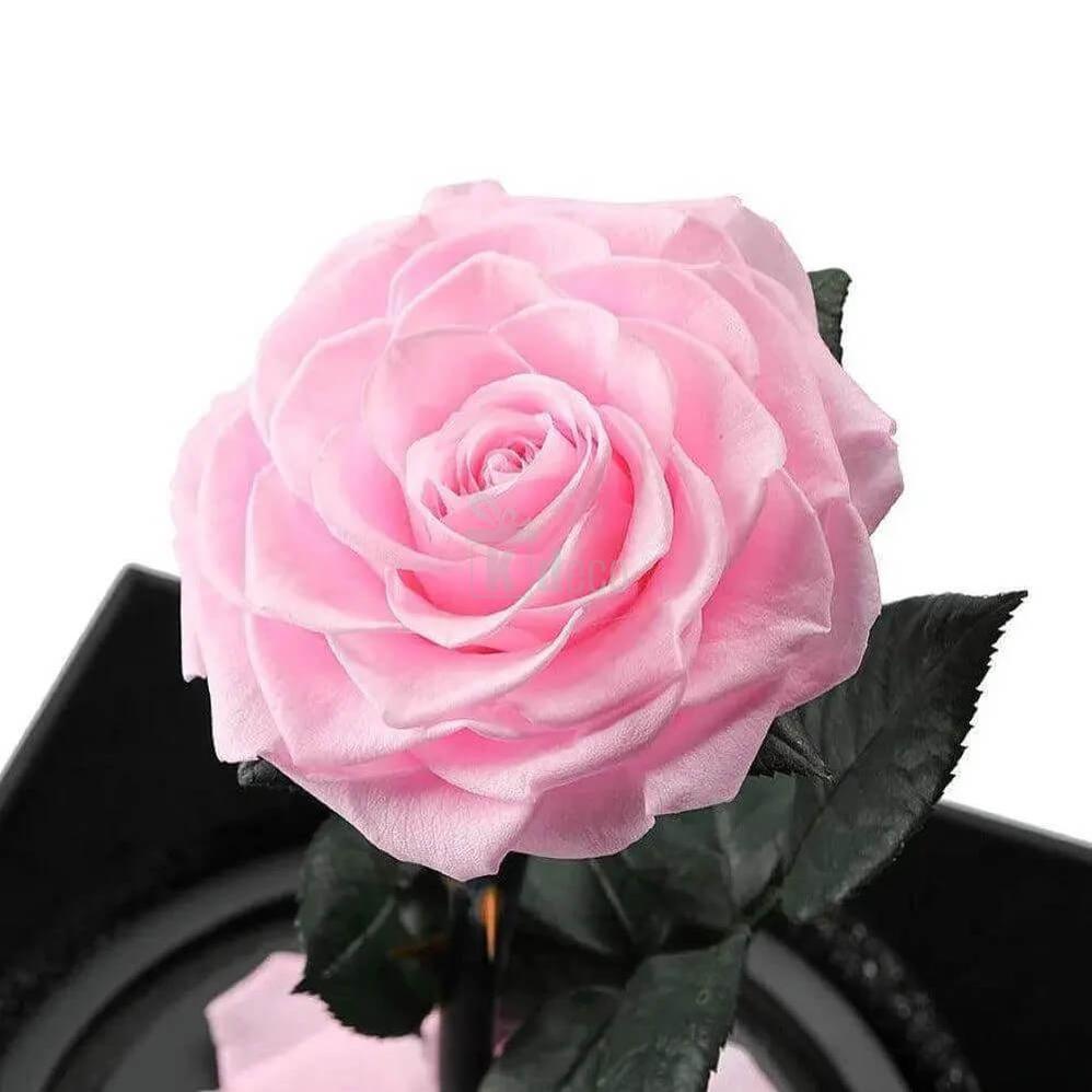 Trandafir Criogenat Roz Bella în Cupolă de Sticlă cu Mesaj Personalizat 12x25cm - Kdeco.ro