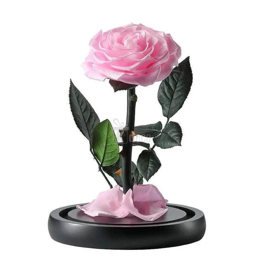 Trandafir Criogenat Roz Bella în Cupolă de Sticlă cu Mesaj Personalizat 12x25cm - Kdeco.ro