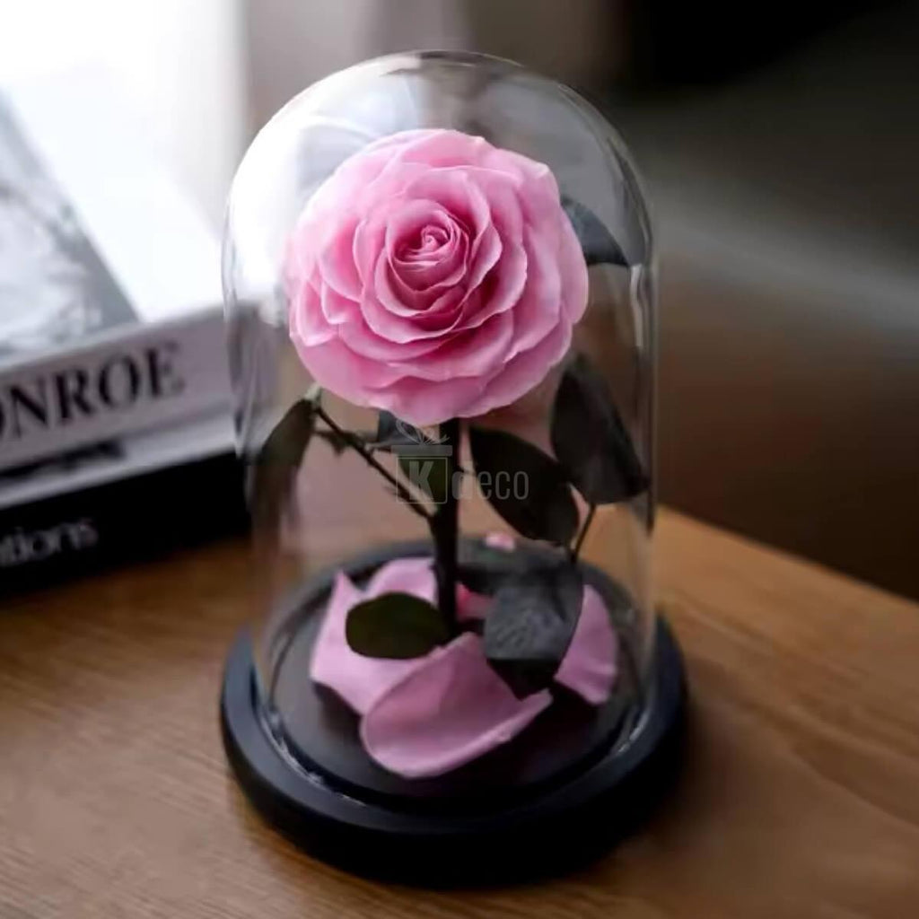 Trandafir Criogenat Roz Bonita în cupolă de sticlă pe suport negru, decor elegant și cadou etern pentru femei, Ø9,5cm, ideal pentru ocazii speciale.
