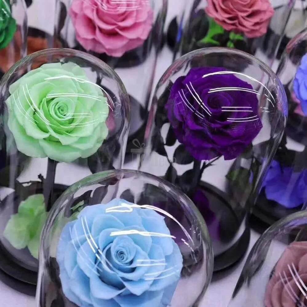 Trandafir Criogenat Roz de Lux în Cupola de Sticlă 12x25cm - Kdeco.ro