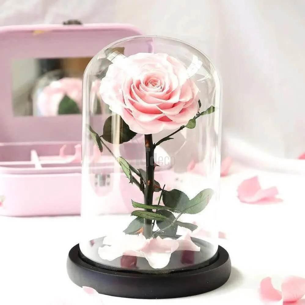 Trandafir Criogenat Roz de Lux, Ø9,5cm în Cupolă de Sticlă 15x25cm - Kdeco.ro