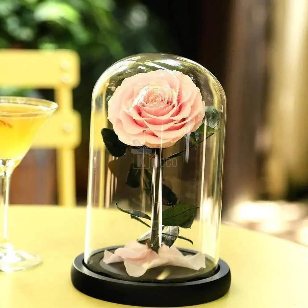 Trandafir Criogenat Roz de Lux, Ø9,5cm în Cupolă de Sticlă 15x25cm - Kdeco.ro