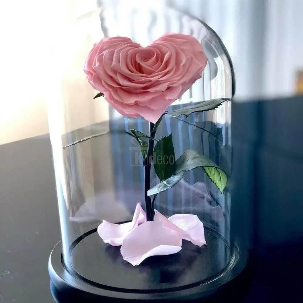 Trandafir Criogenat Roz în Formă de Inimă Ø9cm cu Cupolă din Sticlă 15x25cm - Cadou Ideal pentru Femei - Kdeco.ro