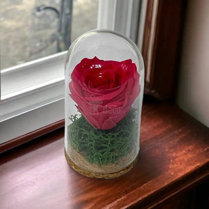 Trandafir Criogenat roz inchis in cupola mica 5x9,5cm (marturie)-Kdeco.ro