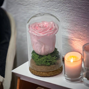Trandafir Criogenat roz pal in cupola de sticla 7x12cm (marturie)-Kdeco.ro