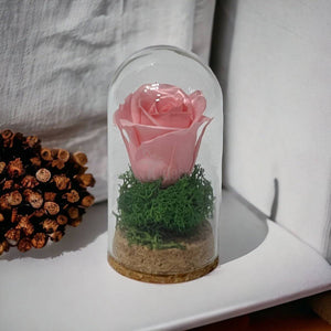 Trandafir Criogenat roz pal in cupola mica 5x9,5cm (marturie)-Kdeco.ro